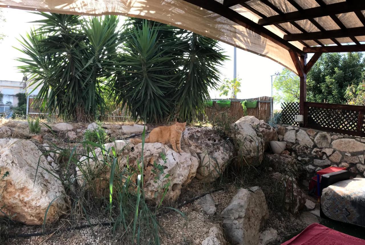 Panorama Kinneret נוף כנרת, צפת Exterior foto